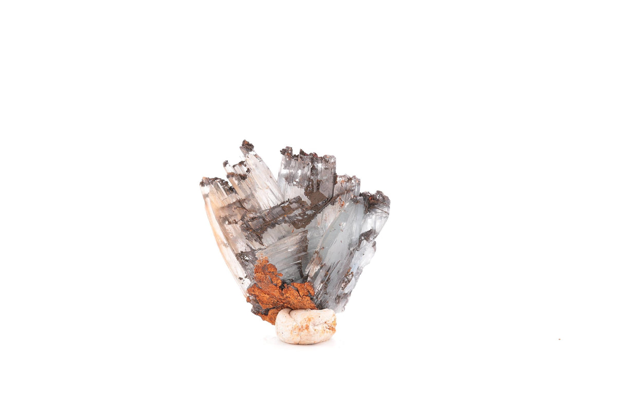 Baryte bleue sur goethite – Sidi Lhcen, Nador, Maroc – 20 g