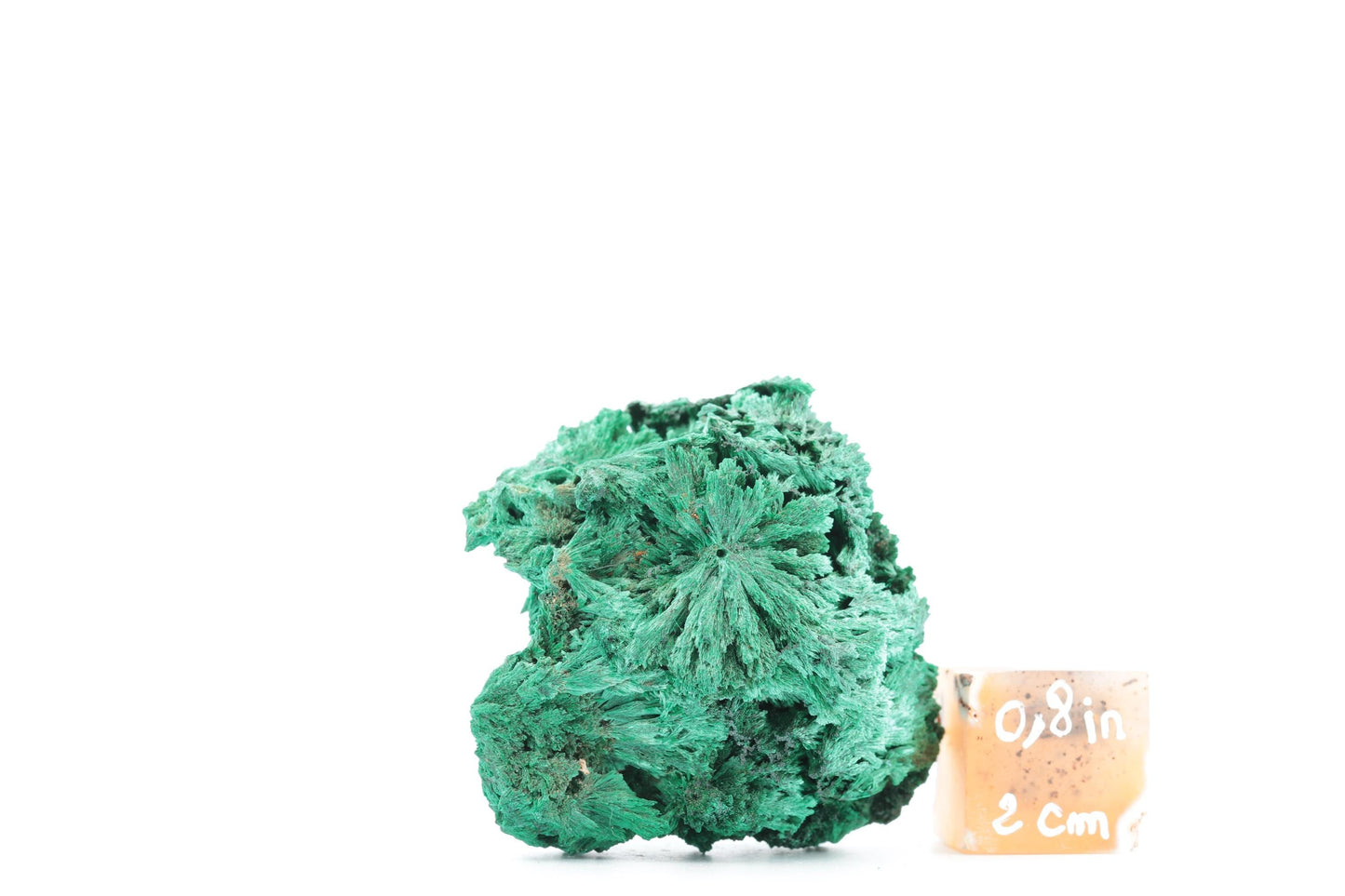 Malachite fibreuse naturelle - 97g - Congo - Pièce unique de collection