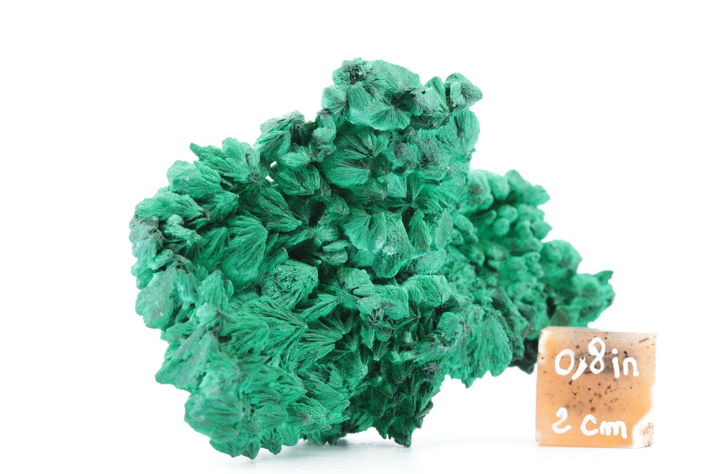 Malachite Fibreuse du Congo – Spécimen Cristallisé d'Exception de 194g