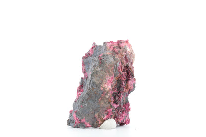 Érythrite – Bou Azzer, Maroc – 149g