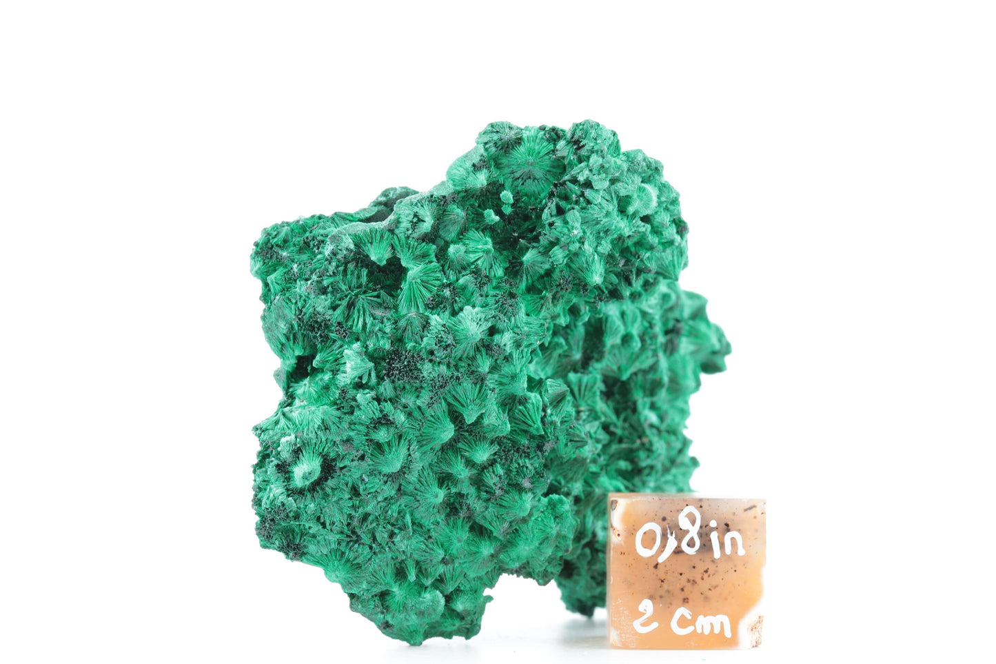 Exceptionnelle Malachite Fibreuse – République Démocratique du Congo