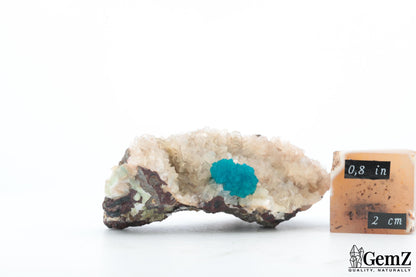 Cavansite bleue éclatante sur matrice cristalline – Origine : Inde