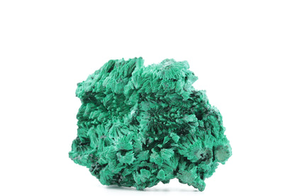 Malachite Fibreuse – République Démocratique du Congo