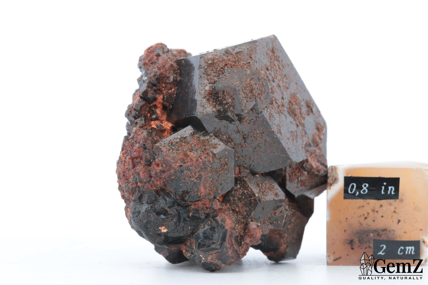 Grenat Mélanite Brut, 127g, Ojos Españoles, Mexique