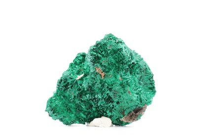 Fascinante Malachite Fibreuse – République Démocratique du Congo