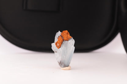 Baryte bleue sur Goéthite – Mine de Sidi Lhcen, Nador, Maroc, 8,3 g