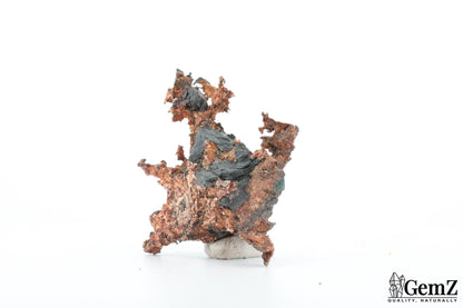 Argent natif sculptural – Mine New Nevada, Mexique, 40g !