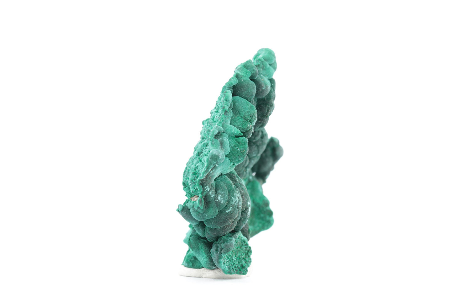 Malachite fibreuse botryoïdale - 53g - Congo - Spécimen unique de collection