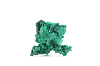 Malachite Fibreuse du Congo – Pièce Naturelle Élégante de 31g !