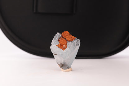 Baryte bleue sur Goéthite – Mine de Sidi Lhcen, Nador, Maroc, 8,3 g