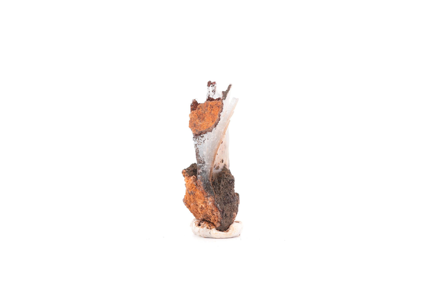 Baryte bleue sur Goéthite – Mine de Sidi Lhcen, Nador, Maroc, 11 g