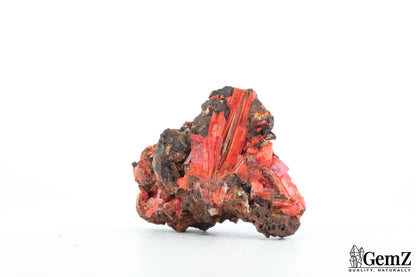 Crocoïte éclatante de Tasmanie – 42g !