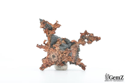 Argent natif sculptural – Mine New Nevada, Mexique, 40g !