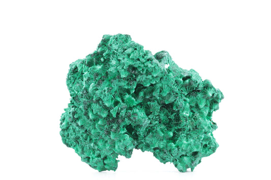 Exceptionnelle Malachite Fibreuse – République Démocratique du Congo