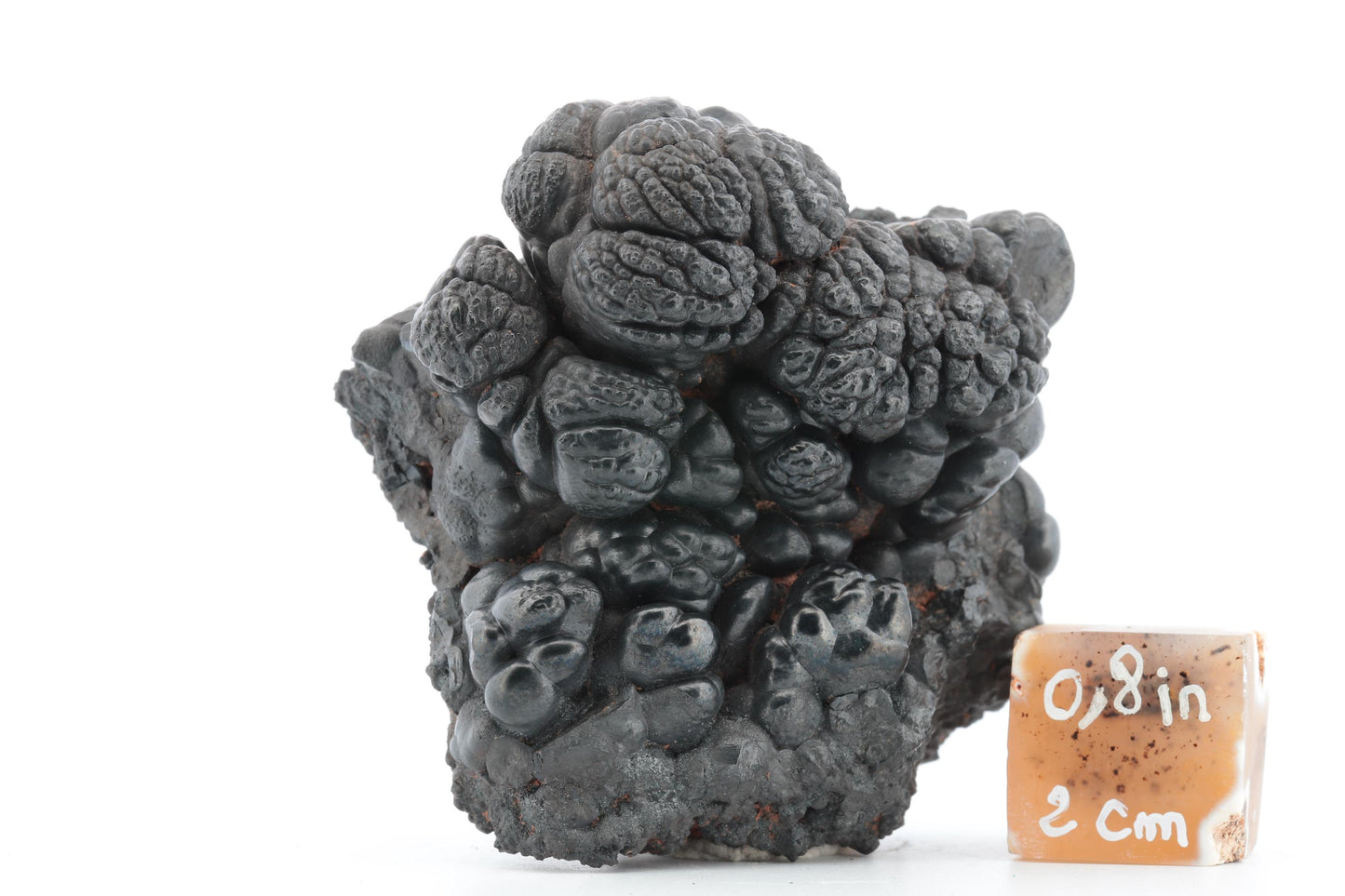 Goethite Botryoïdale du Maroc – 266g
