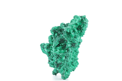 Exceptionnelle Malachite Fibreuse – République Démocratique du Congo