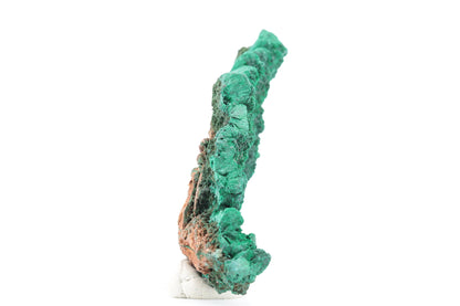 Malachite fibreuse naturelle - 158g - Congo - Spécimen unique de collection