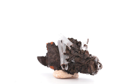 Baryte bleue sur Goéthite – Mine de Sidi Lhcen, Nador, Maroc, 41 g