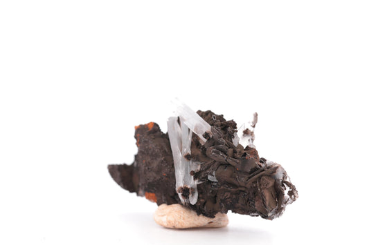 Baryte bleue sur Goéthite – Mine de Sidi Lhcen, Nador, Maroc, 41 g