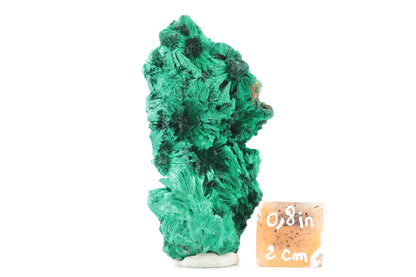 Malachite fibreuse naturelle - 67g - Congo - Pièce unique de collection