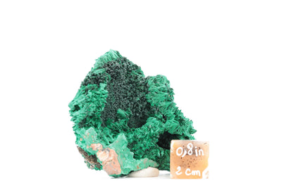 Fascinante Malachite Fibreuse – République Démocratique du Congo