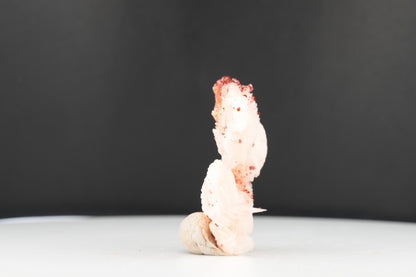 Vanadinite Sur Baryte – Mibladen, Maroc