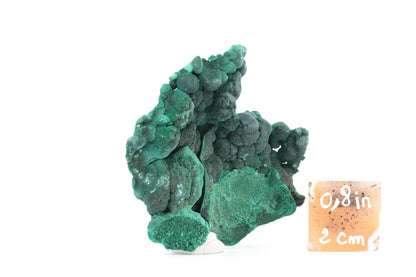 Malachite fibreuse botryoïdale - 53g - Congo - Spécimen unique de collection