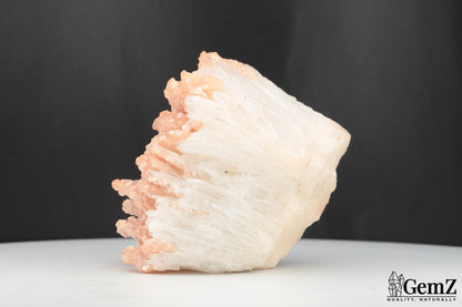 Splendide Cleavelandite de Minas Gerais, Brésil – 194g de Pures Merveilles Minérales