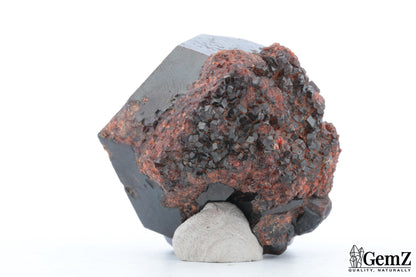 Grenat mélanite – Mine Ojos Españoles, Chihuahua, Mexique – 127 g