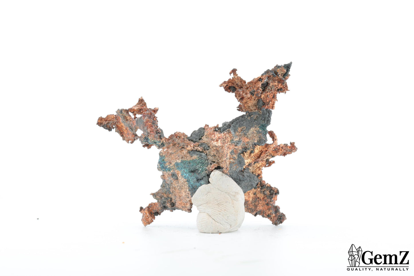 Argent natif sculptural – Mine New Nevada, Mexique, 40g !