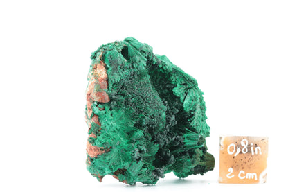 Malachite Fibreuse du Congo – Spécimen Naturel Unique de 122g