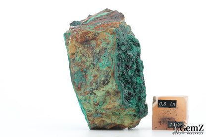 Atacamite verte cristallisée - 211g !