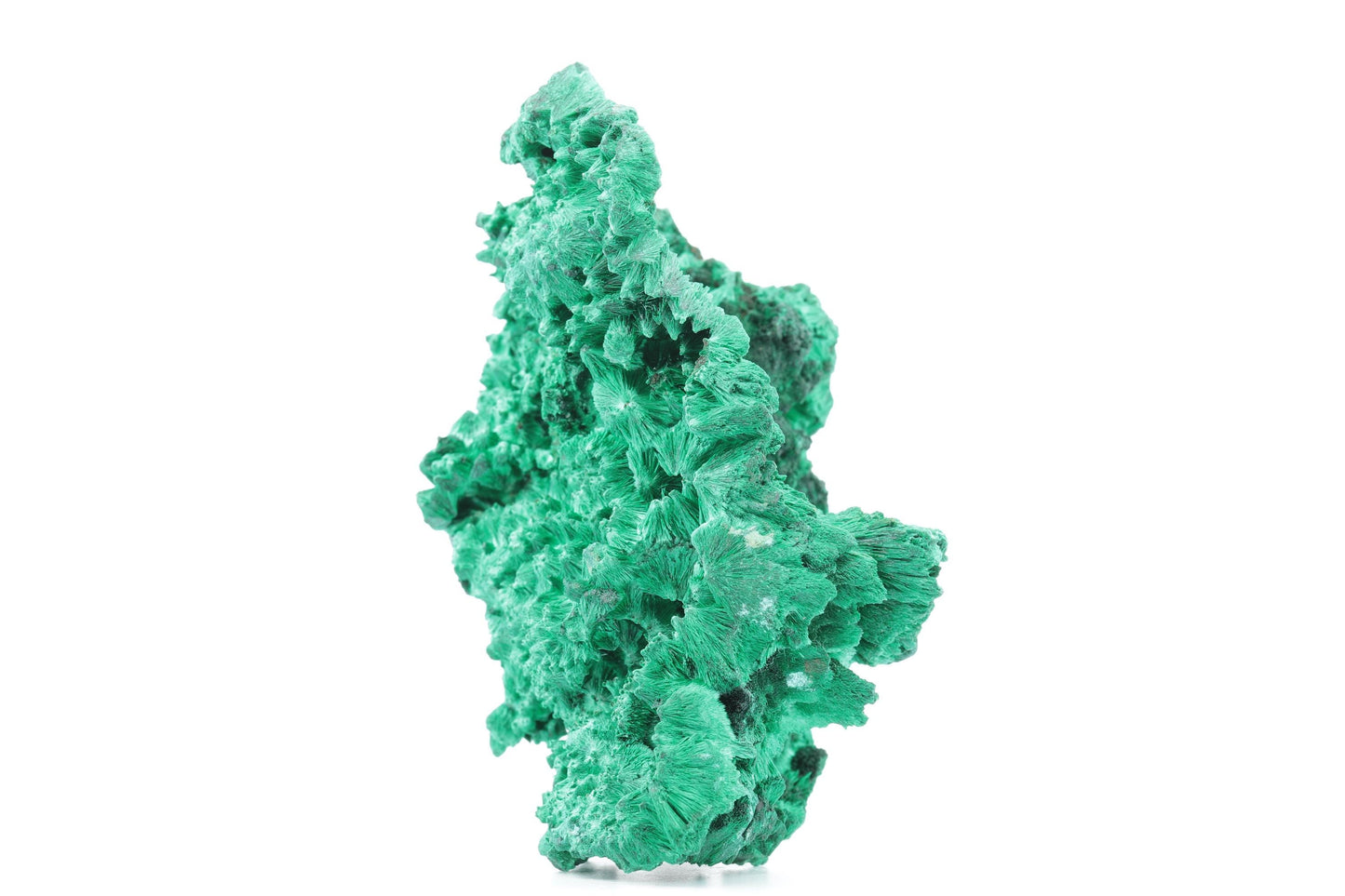 Malachite Fibreuse du Congo – Spécimen Naturel Brillant de 232g
