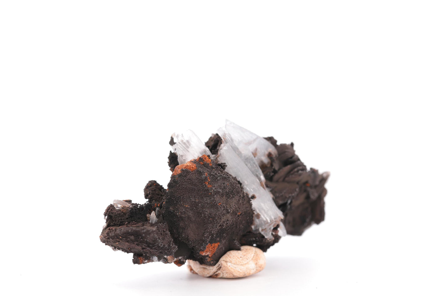 Baryte bleue sur Goéthite – Mine de Sidi Lhcen, Nador, Maroc, 41 g