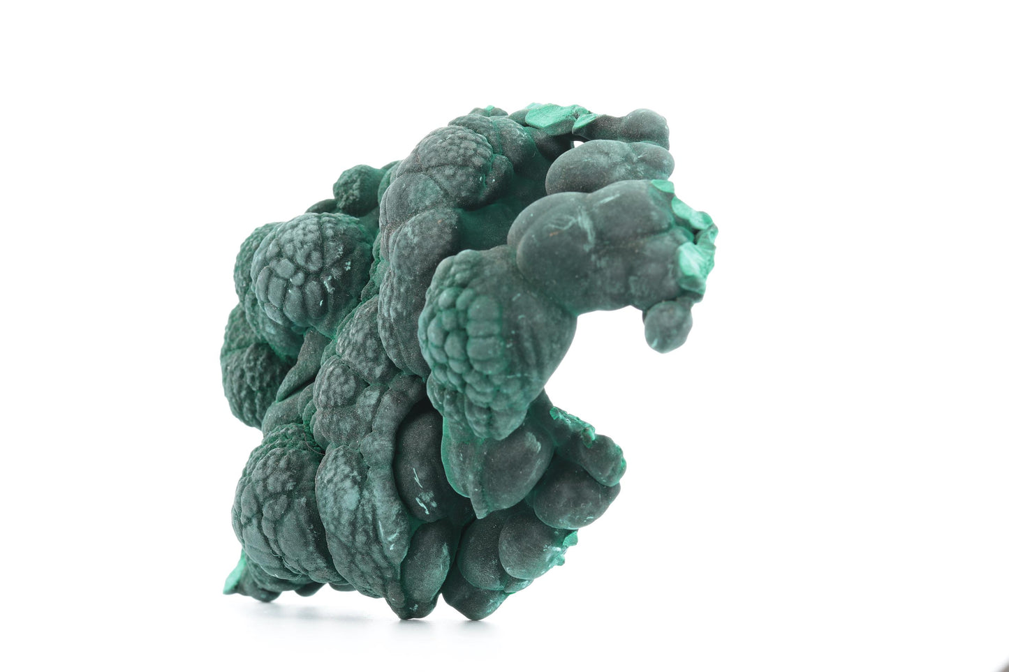 Malachite Fibreuse du Congo – Spécimen Botryoïdal Naturel de 219g