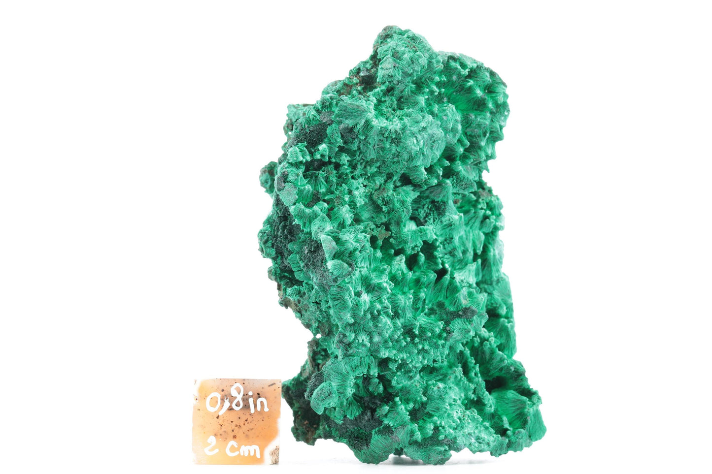 Malachite Fibreuse du Congo – Spécimen Naturel Brillant de 232g