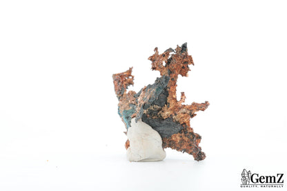 Argent natif sculptural – Mine New Nevada, Mexique, 40g !