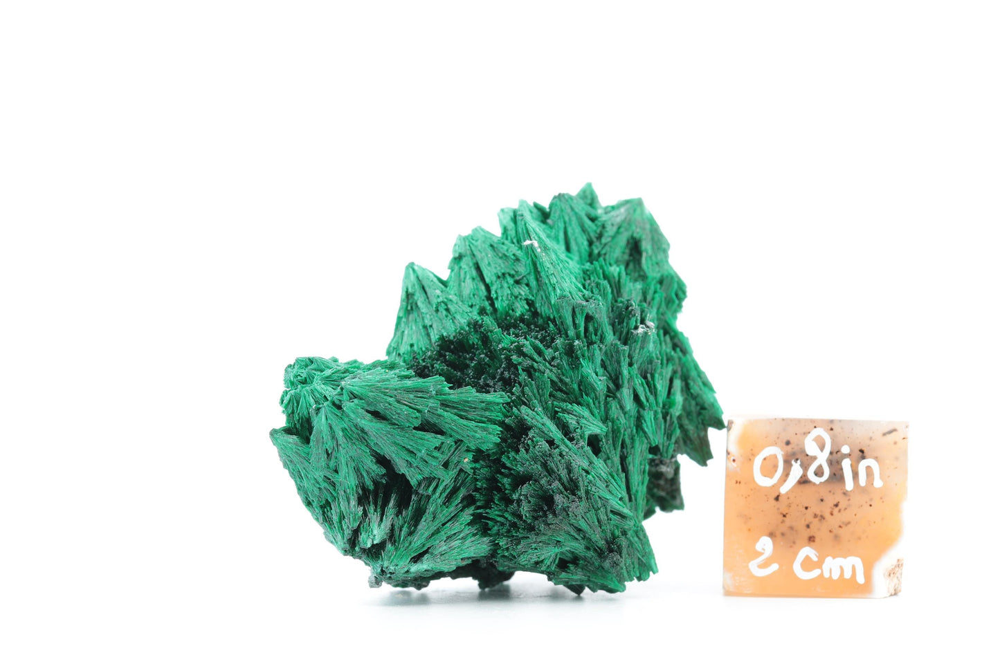 Malachite fibreuse naturelle - 56g - Congo - Spécimen unique de collection