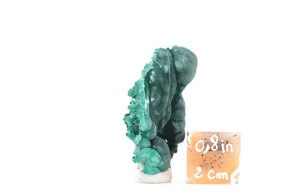 Malachite fibreuse botryoïdale - 27g - Congo - Spécimen unique de collection