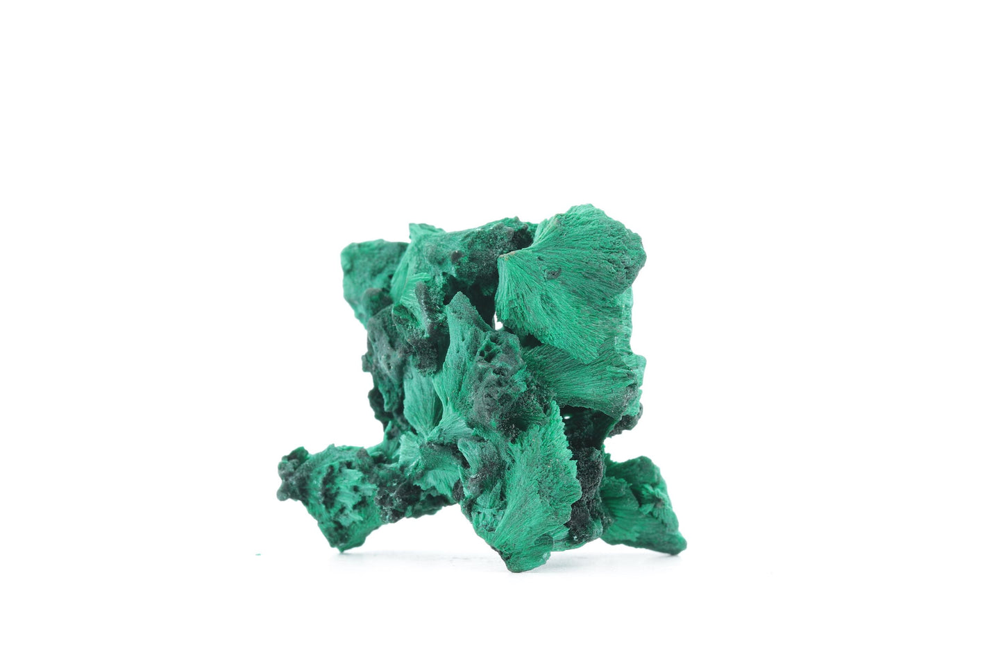 Malachite Fibreuse du Congo – Pièce Naturelle Élégante de 31g !