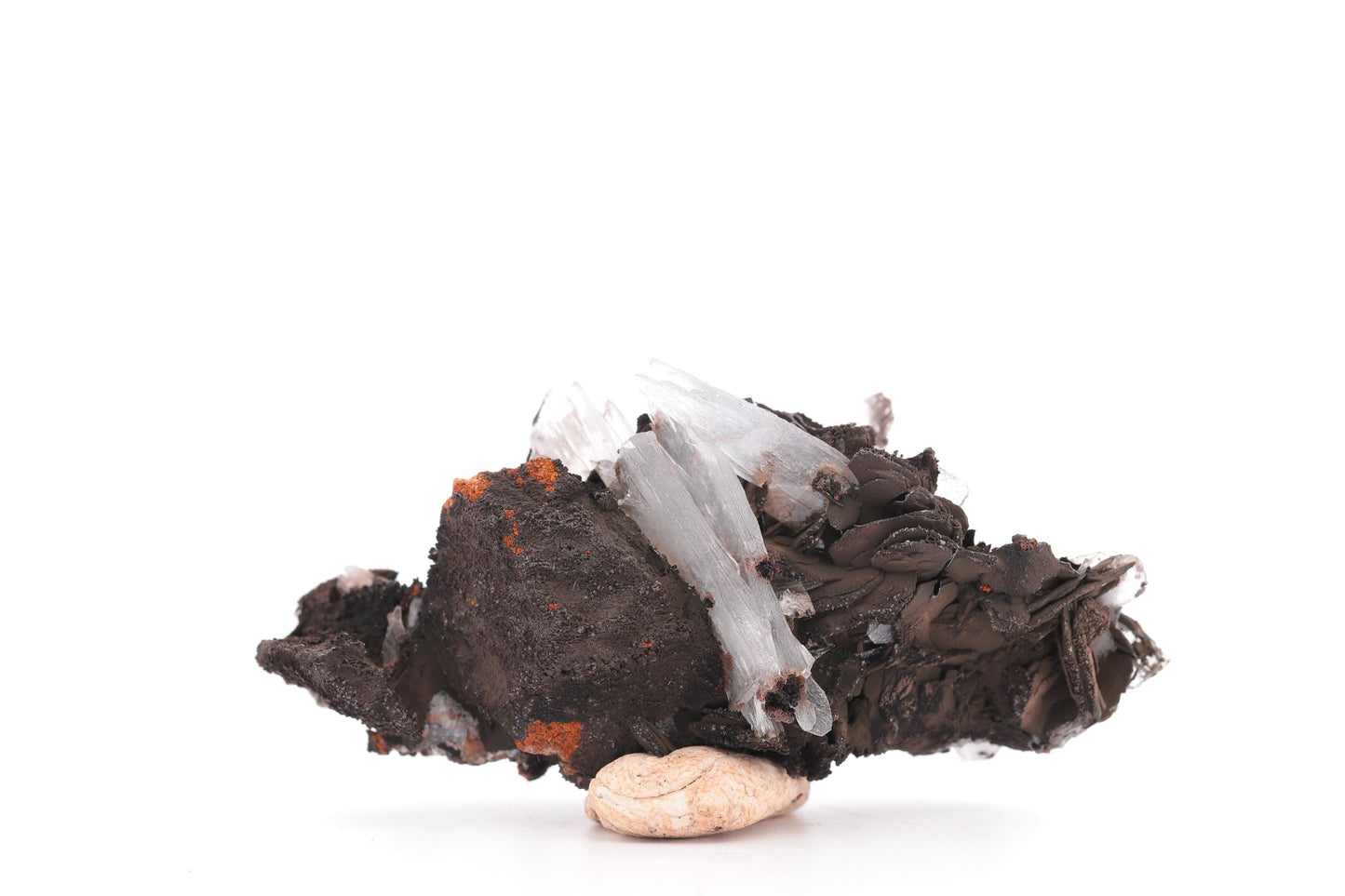 Baryte bleue sur Goéthite – Mine de Sidi Lhcen, Nador, Maroc, 41 g