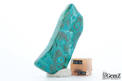 Chrysocolle-Malachite Compacte, 105g, Teintes Vives et Profondes