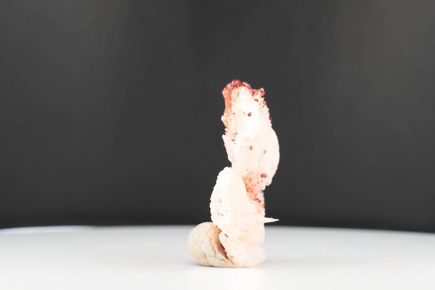 Vanadinite Sur Baryte – Mibladen, Maroc