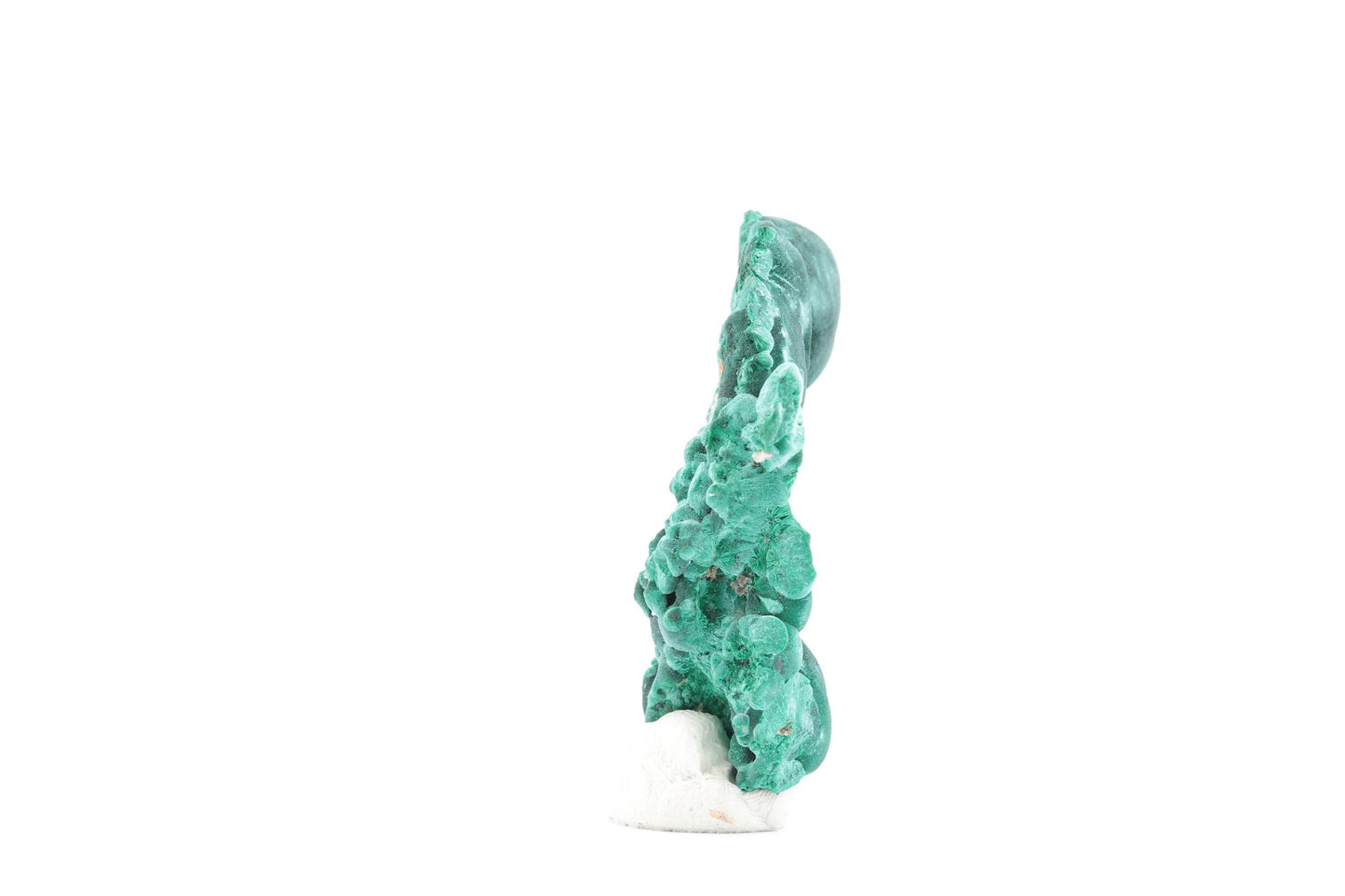 Malachite fibreuse botryoïdale - 27g - Congo - Spécimen unique de collection
