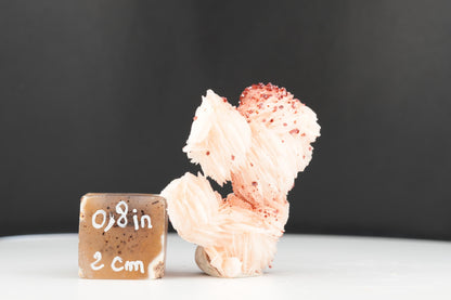 Vanadinite Sur Baryte – Mibladen, Maroc