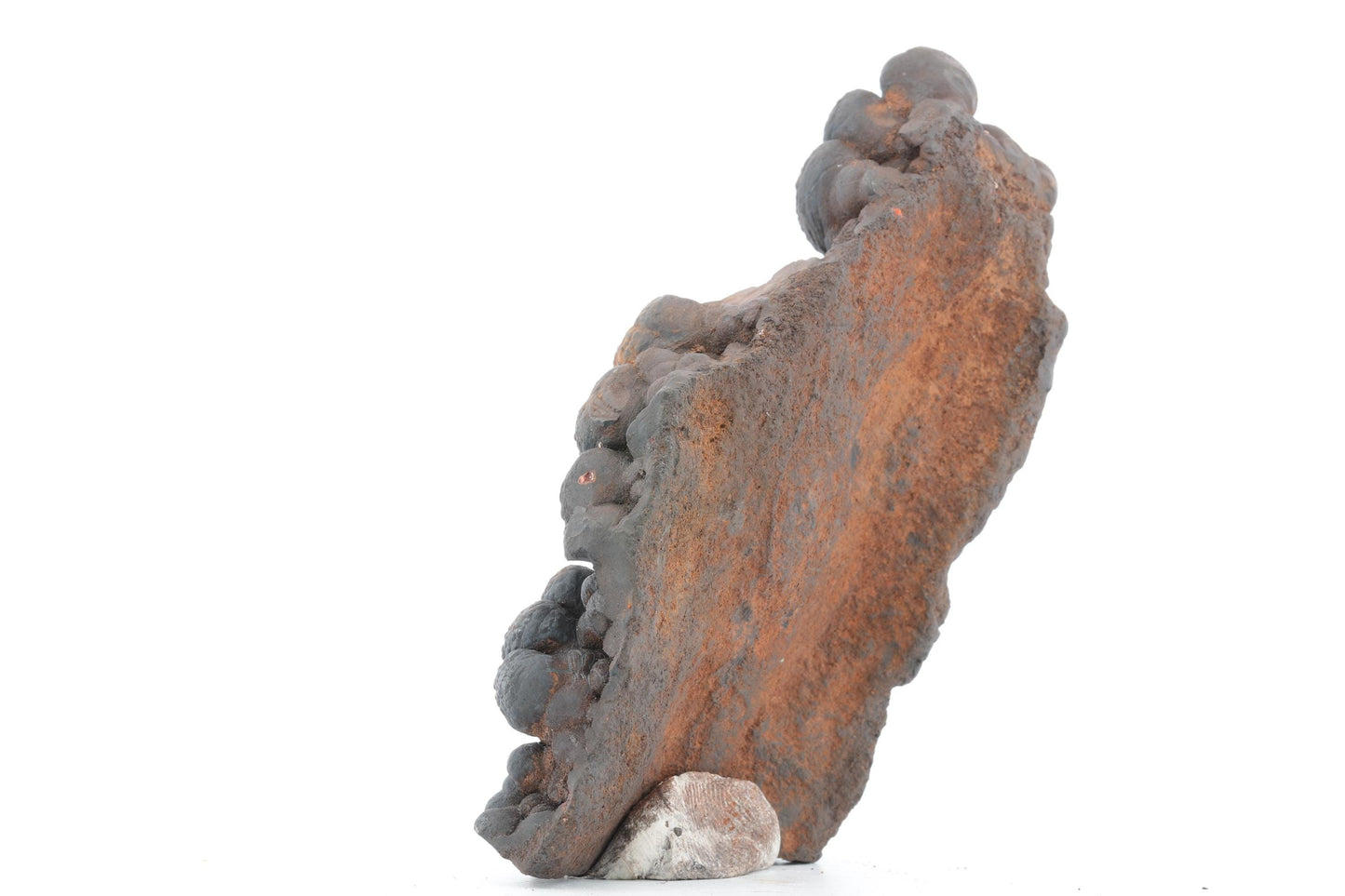 Goethite Botryoïdale du Maroc – 104g