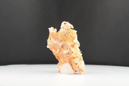 Vanadinite Sur Baryte – Mibladen, Maroc