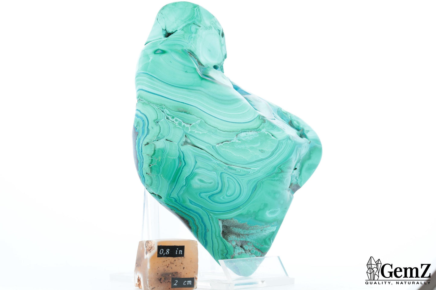 Chrysocolle-Malachite 425g, Chef-d’œuvre Naturel Exceptionnel