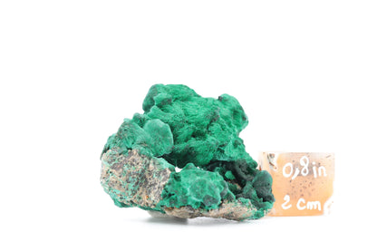 Malachite Fibreuse du Congo – Petite Merveille Naturelle de 75g